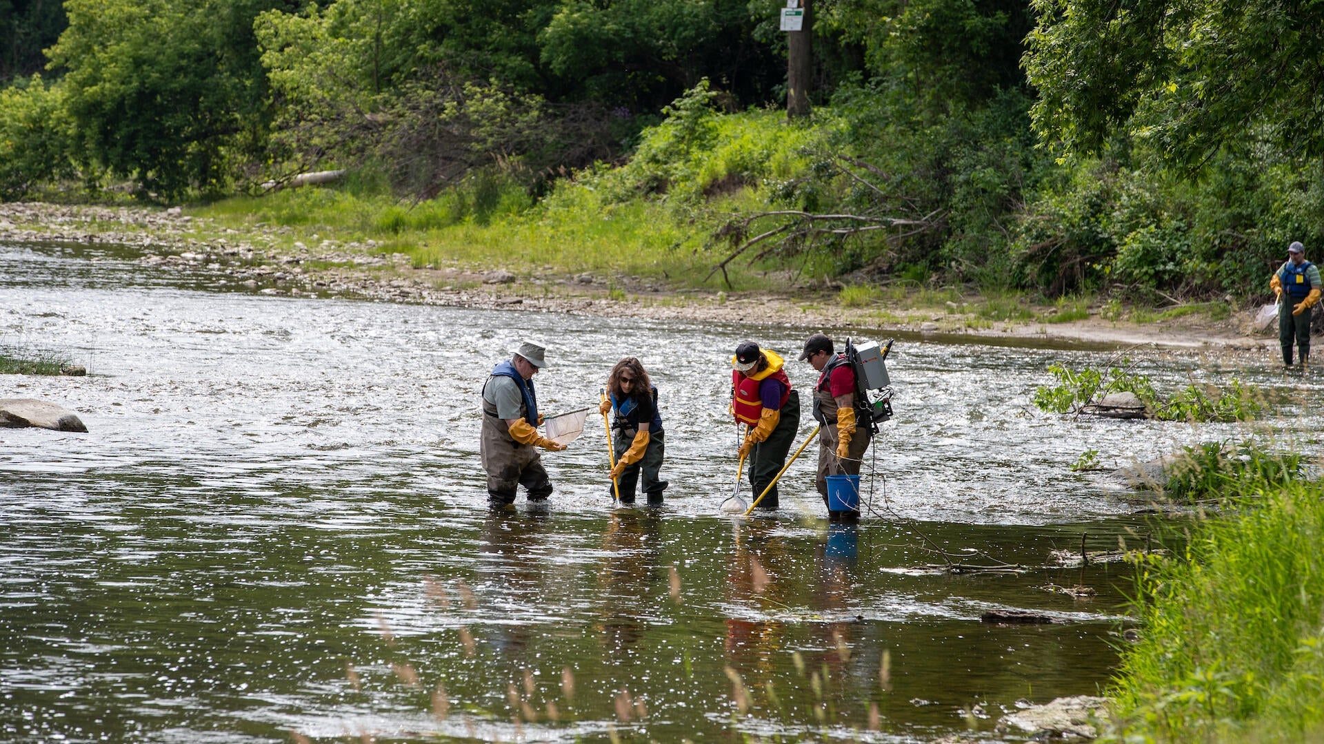 A team of researchers fishing in the Grand River with Mark Servos.