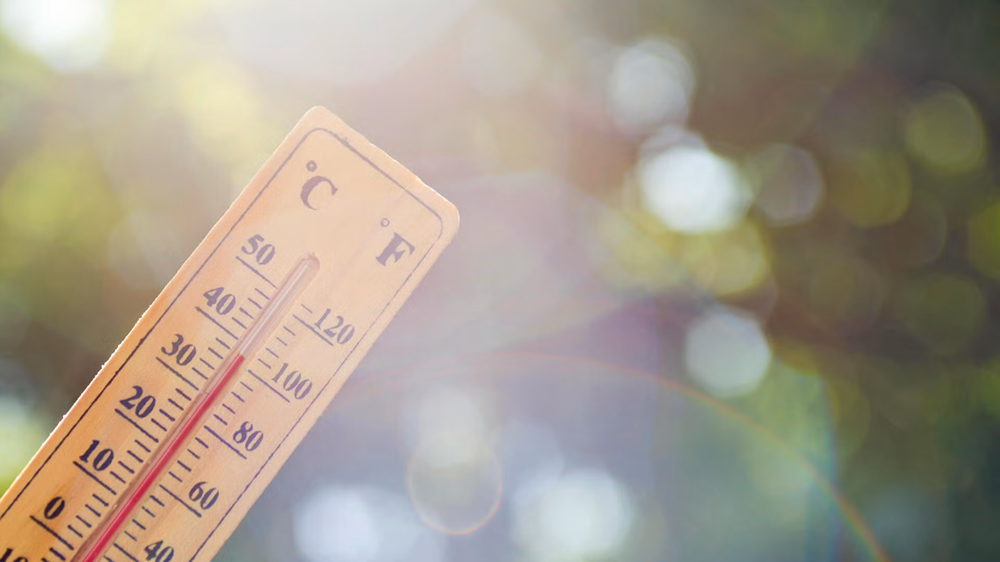 A sunsplashed thermometer reads in the mid 30s against a backdrop of green trees.