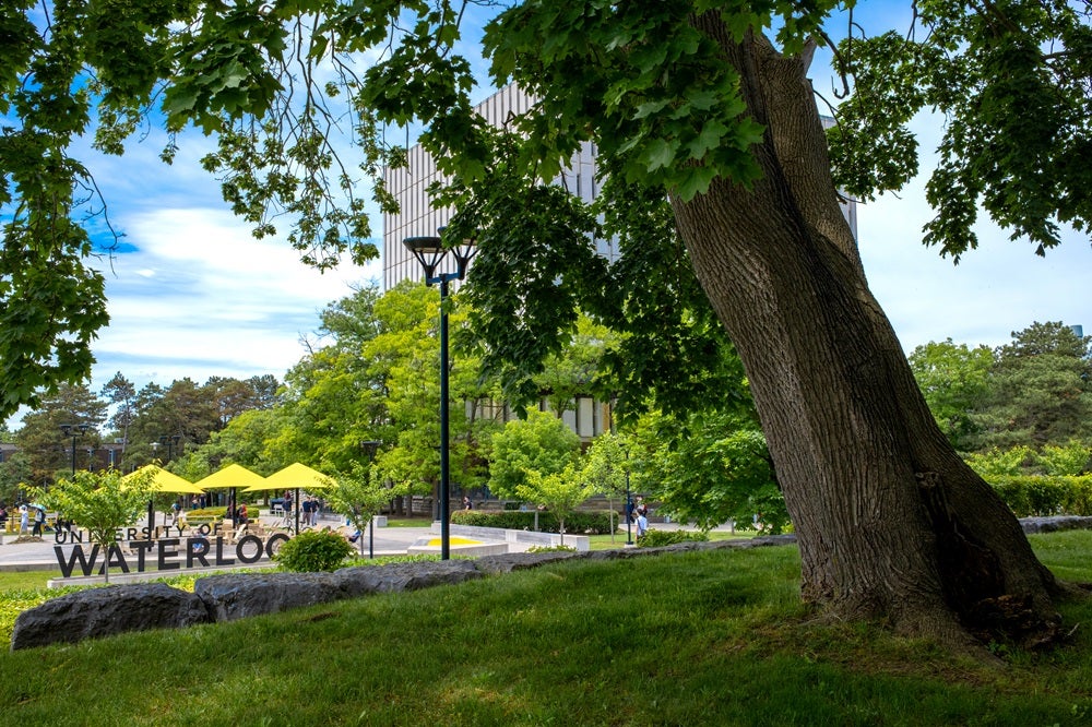 The University of Waterloo sign against summery greenery.