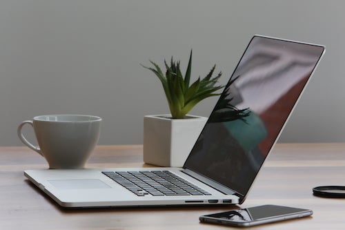 A laptop, smartphone, and a potted succulent plant.