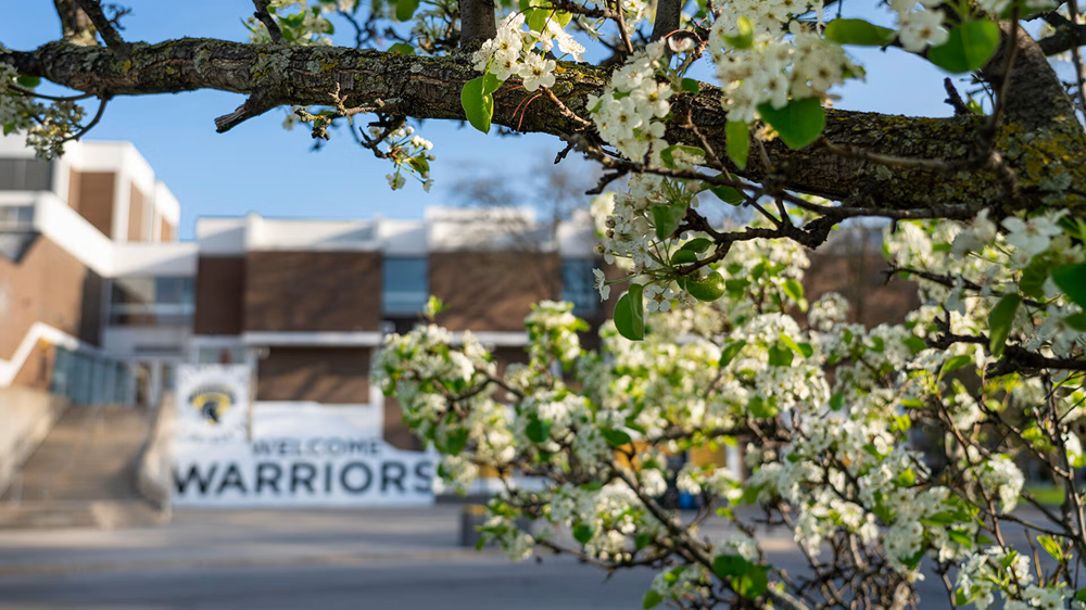 The Waterloo Warriors sign behind a blossoming tree.