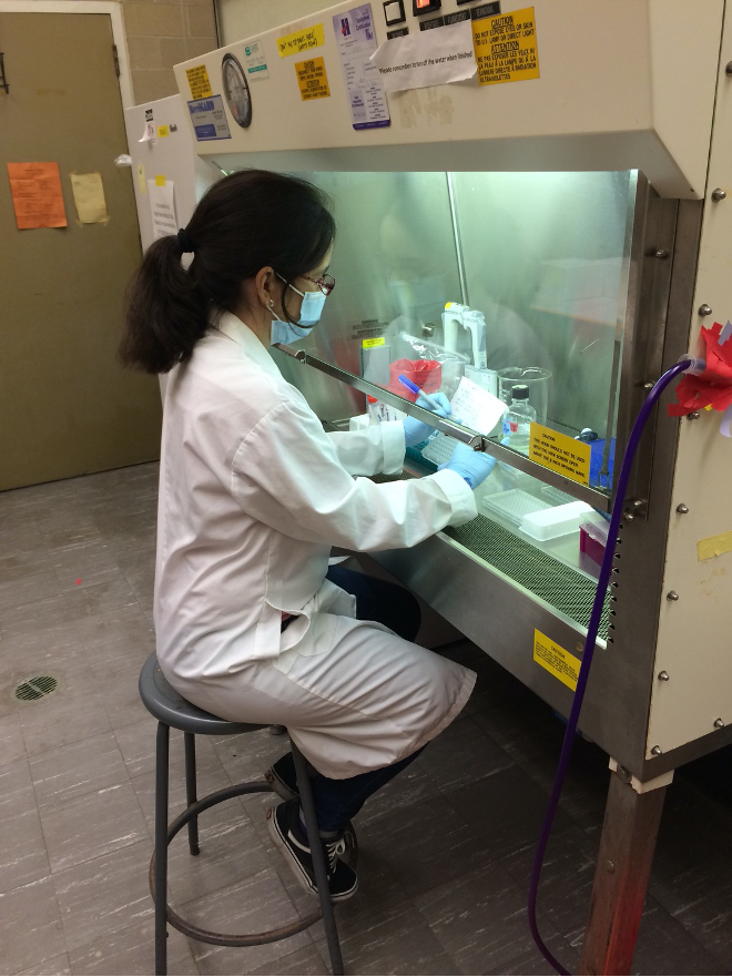 A woman in PPE performs a lab test.