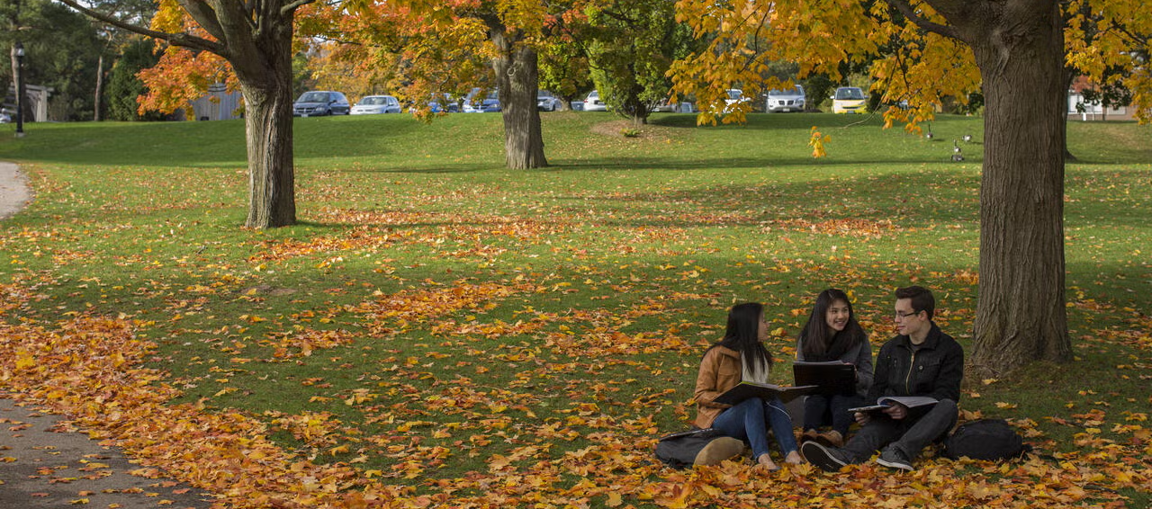 Three students sit under a tree with fallen leaves nearby.
