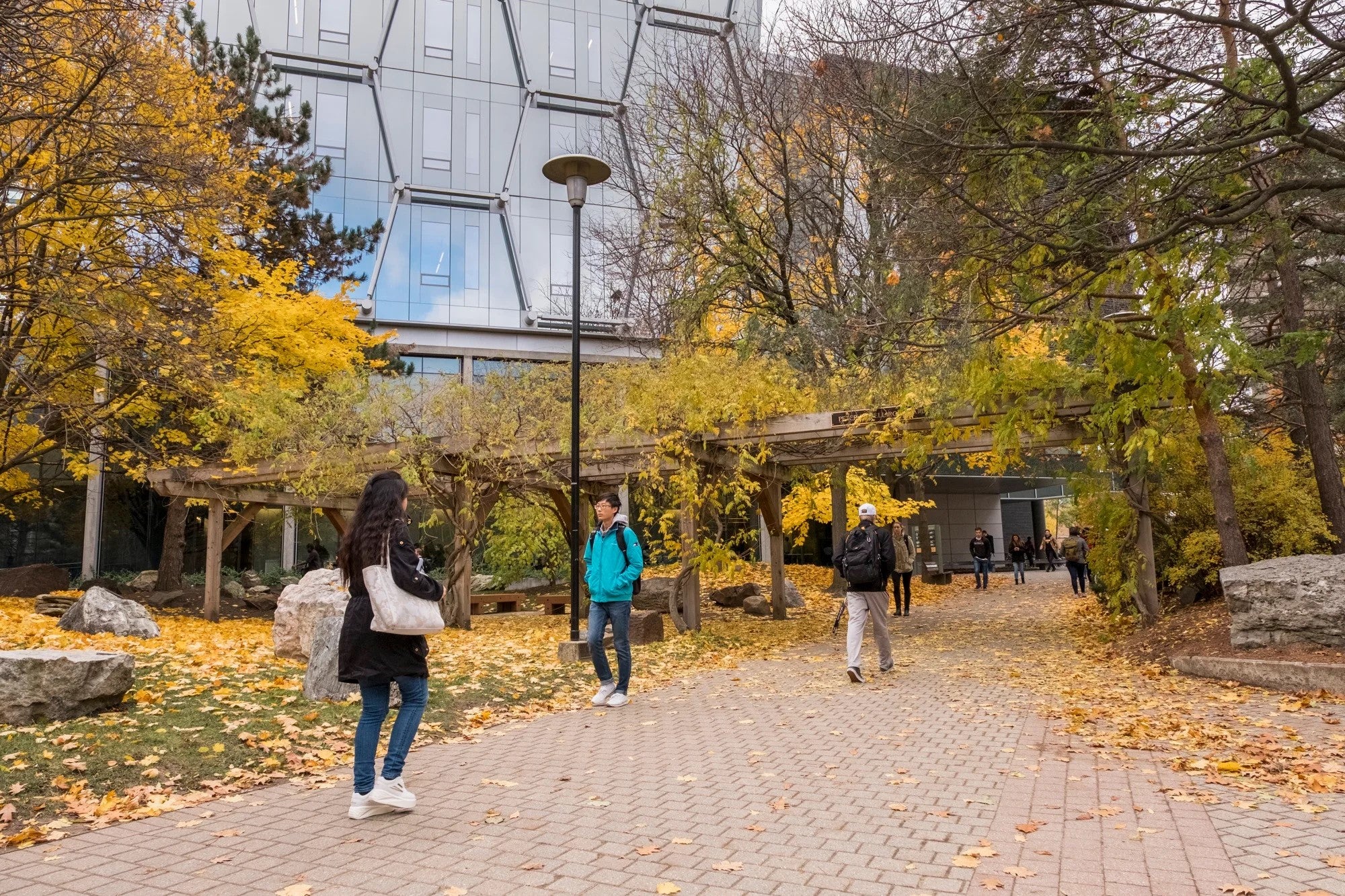 Students walk on a campus path in autumn.