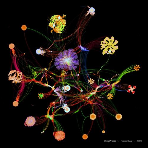 A visual representation of the DeepPrecip deep neural network, including a compute graph render with 1.7 million nodes and 2.8 million edges. The image is a snapshot in time of the deep learning neural network’s complex brain for calculating precipitation.