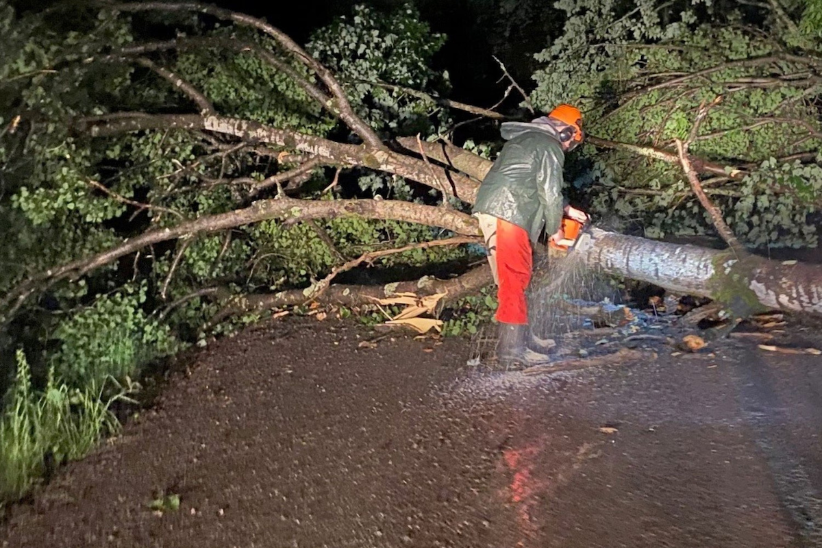 A worker uses a chainsaw to clear fallen trees from a road in Mattawa ON.