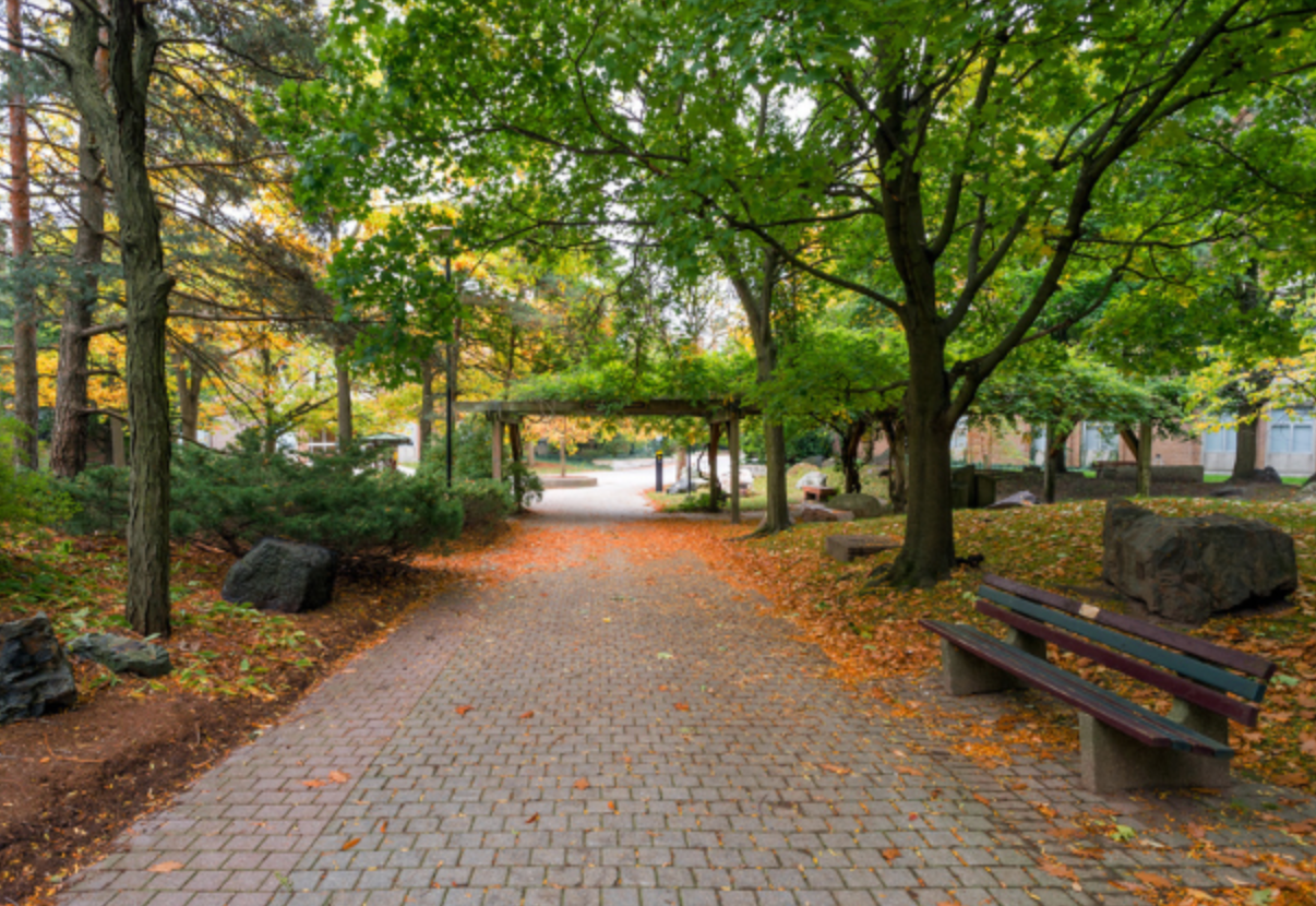 The Peter Russell Rock Garden with trees