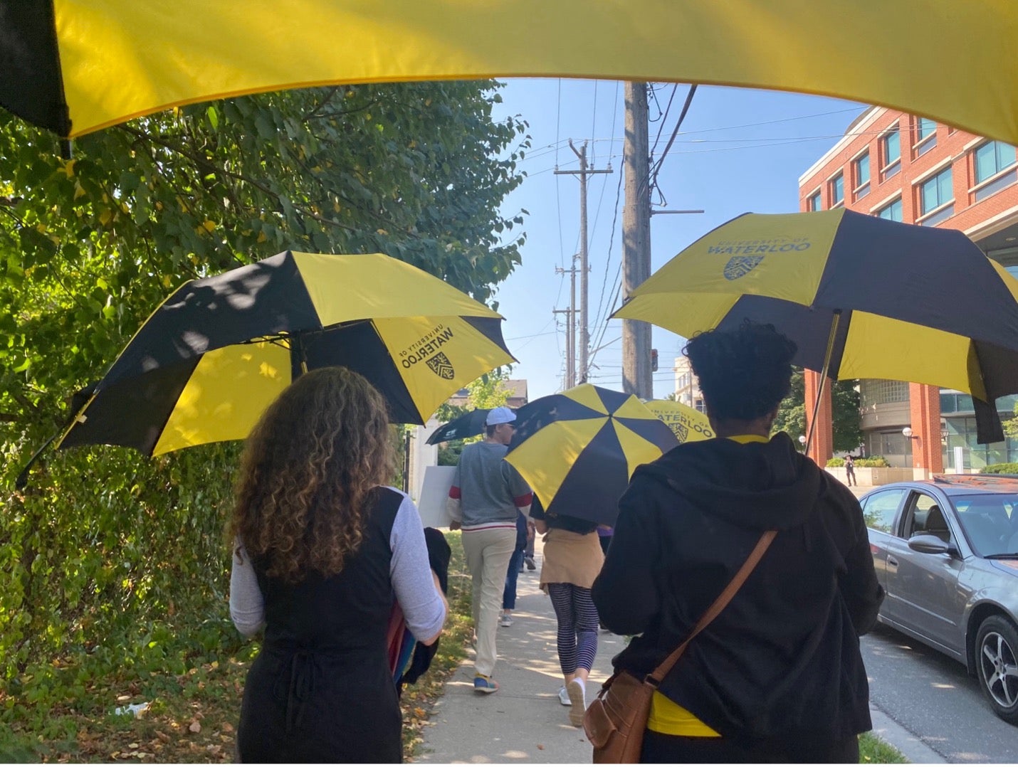 People walk with black and gold UW umbrellas.