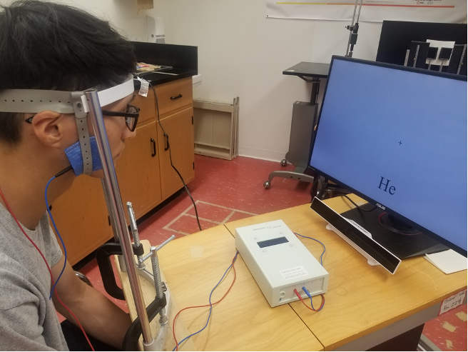 Photograph of a participant undergoing brain stimulation while reading words on a computer screen.