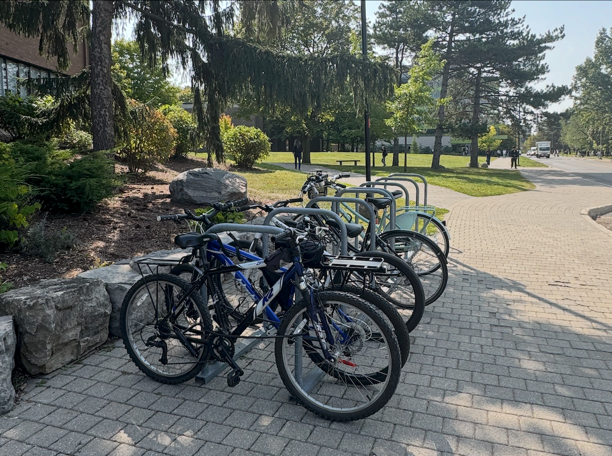 Bicycles locked up at a rack outside Needles Hall.