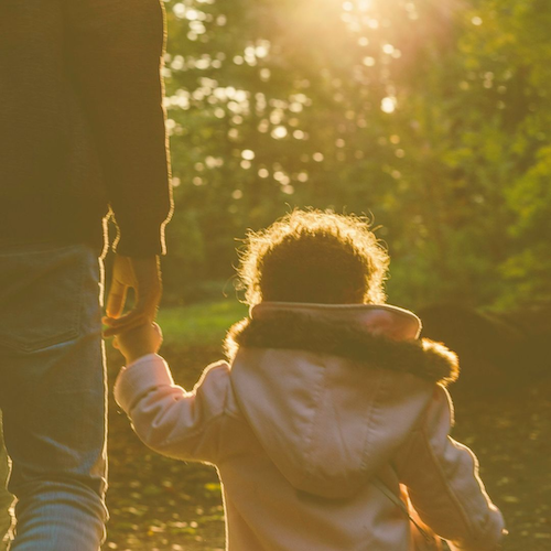 A parent holds a child's hand as they walk in a forest.