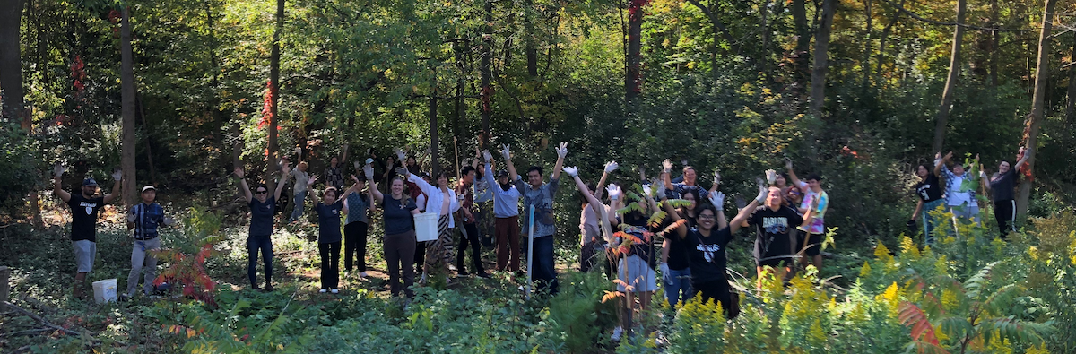 Volunteers in a wooded area cheer.