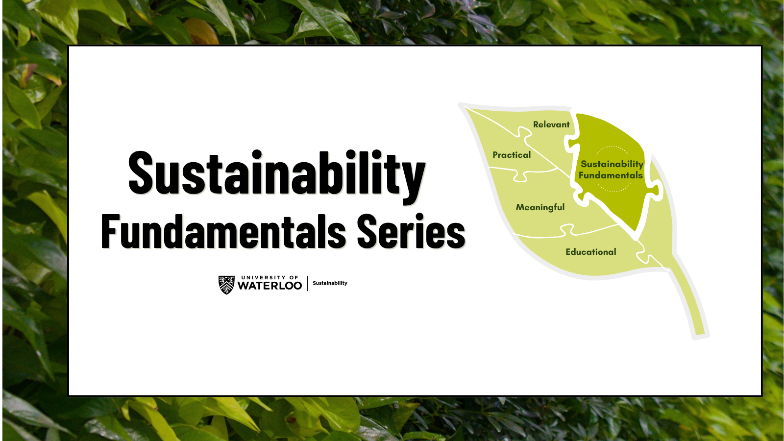 Sustainability Fundamentals series promotional banner