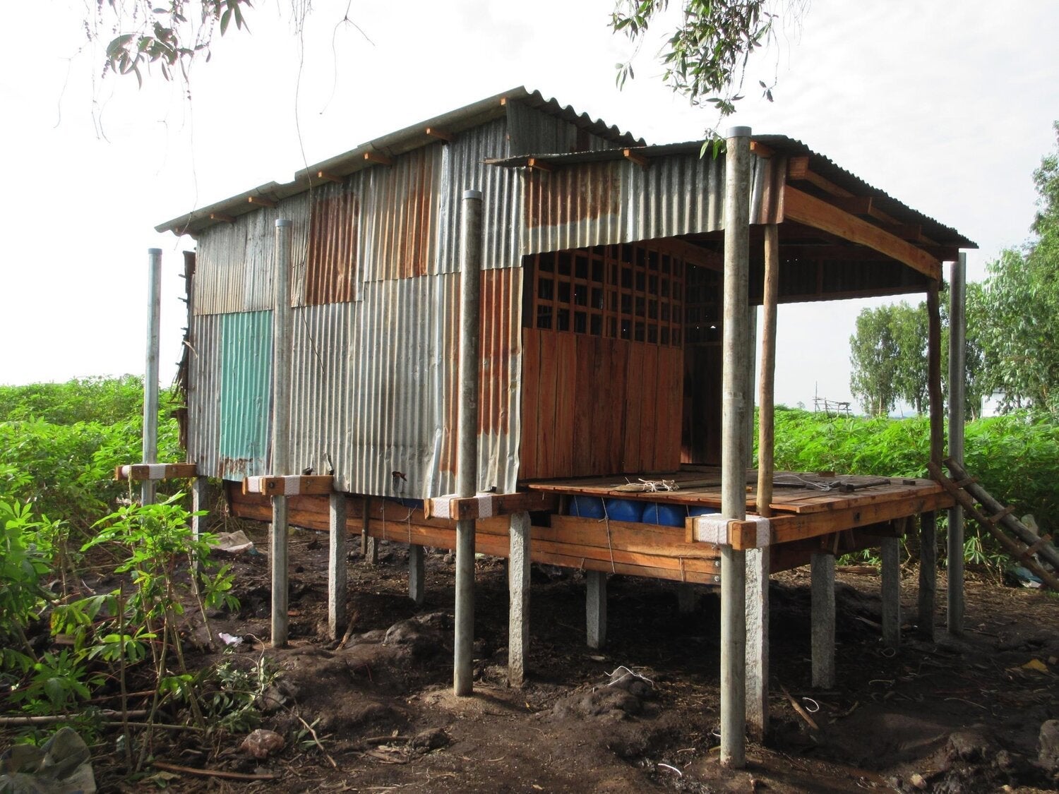 Owned by a rice farmer in Vietnam, this retrofitted house shown on dry land will float to the surface of rising floodwaters.