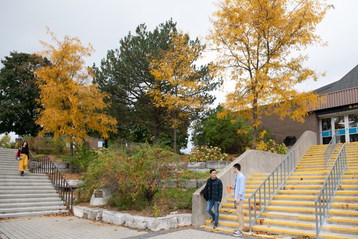 Students walk down the stairs outside the Physical Activities Complex.