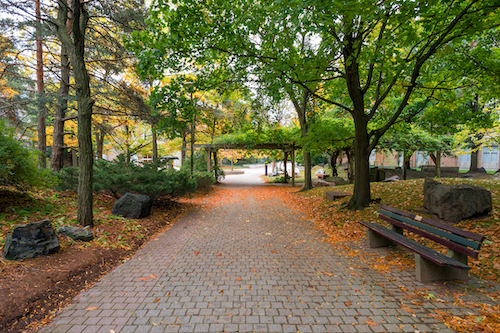 A picture of the path through the Peter Russell Rock Garden.