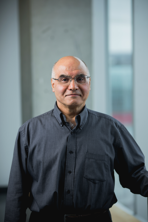 Professor Safieddin (Ali) Safavi-Naeini.