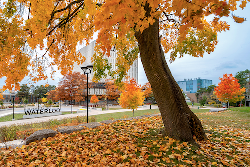 Autumn leaves on the ground on the green behind the Graduate House.