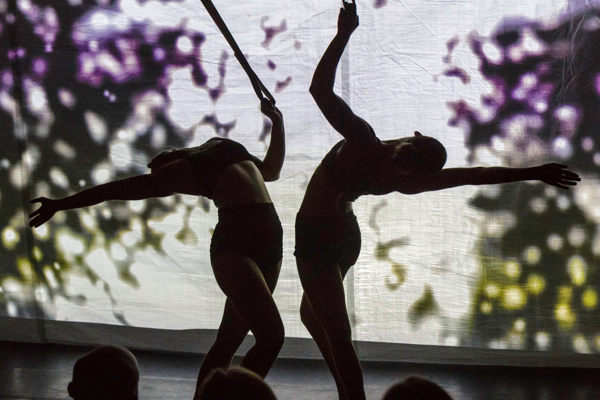 Two female performers with digital images projected onto them.