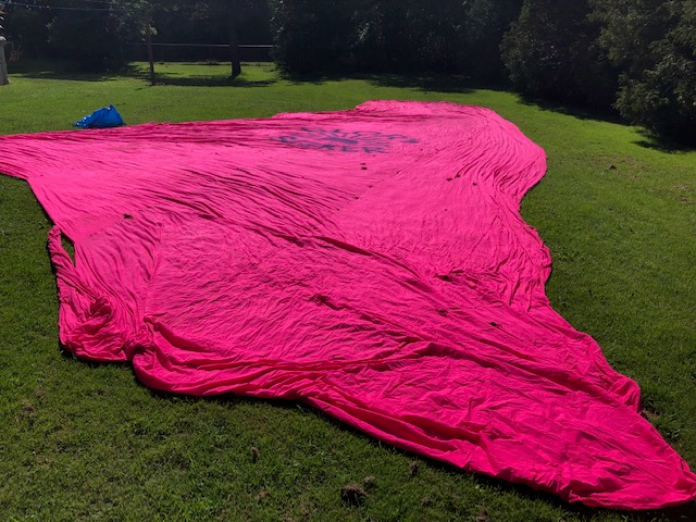 The Pink Tie stretched out on some grass.