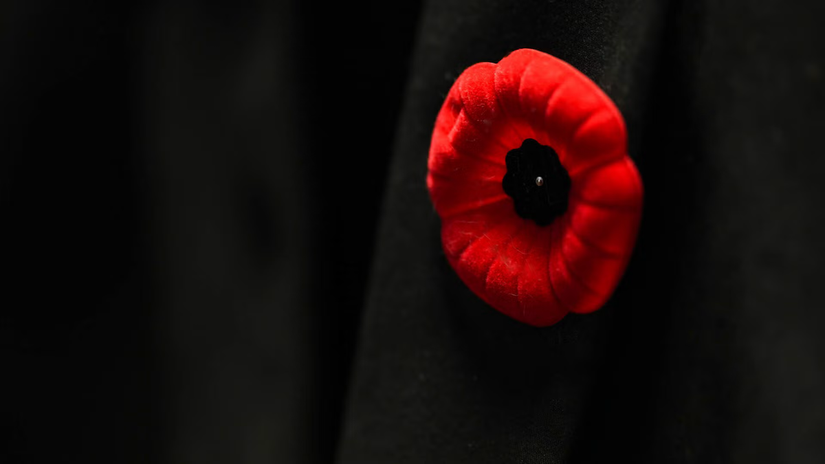 A poppy pinned on a lapel.