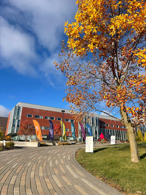 Faculty banners arranged along a campus path outside the Tatham Centre.