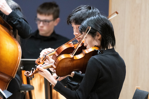 Violinists in the Orchestra performing.