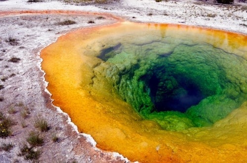 A shallow body of water rife with algae.