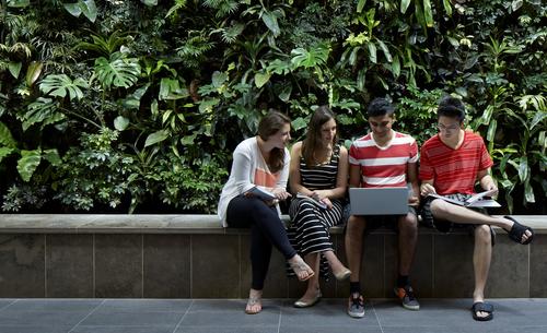 Students sit in front of the Living Wall in Environment 3, looking at a laptop screen.