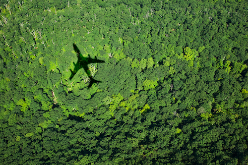 The shadow of a jetliner on a forest.