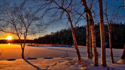 Sunrise over a snow-covered landscape.