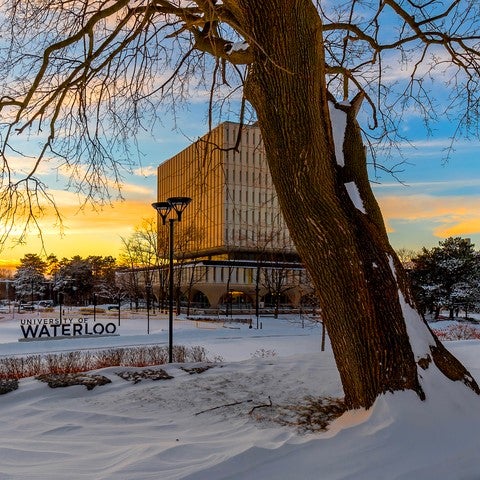 The Dana Porter Library behind a tree in a winter setting.