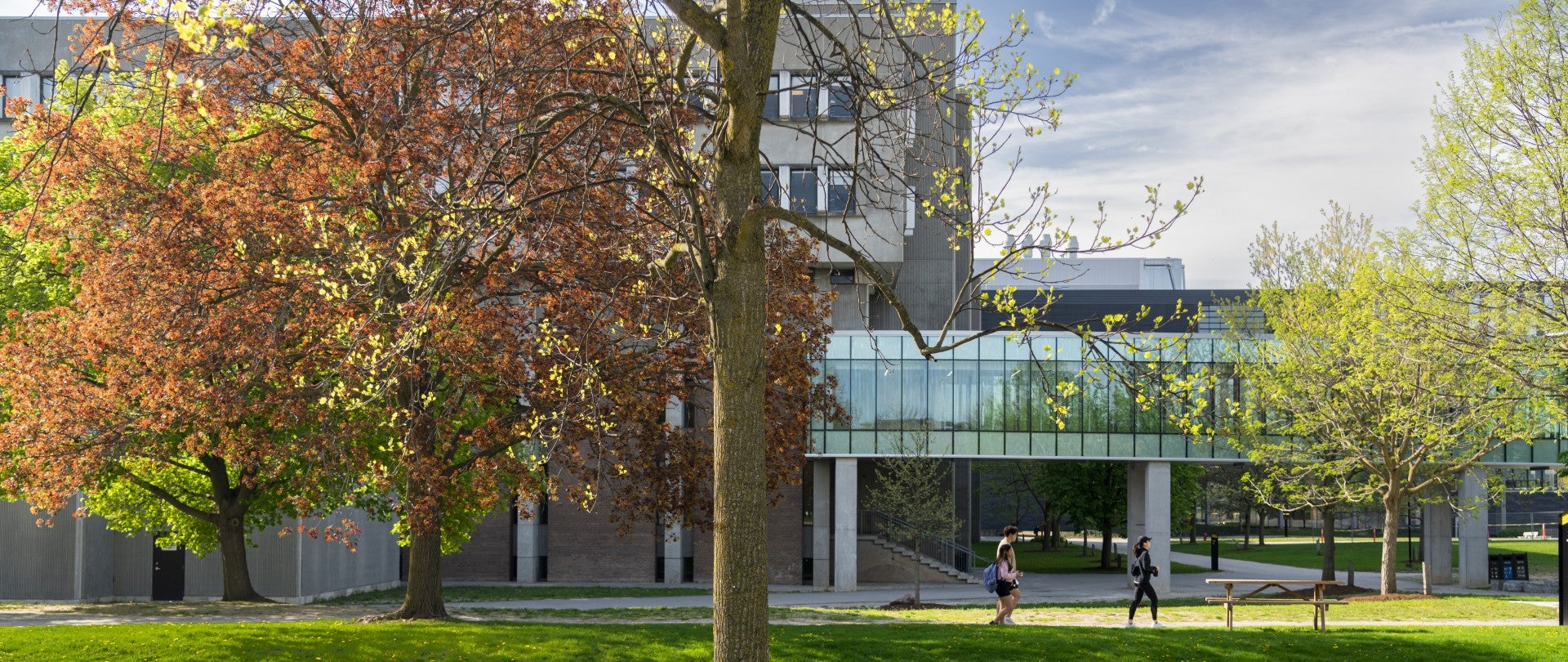 Fall photo of campus