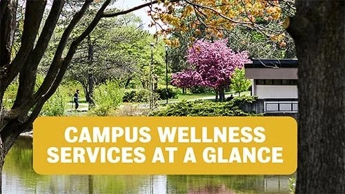 Campus Wellness services at a glance poster