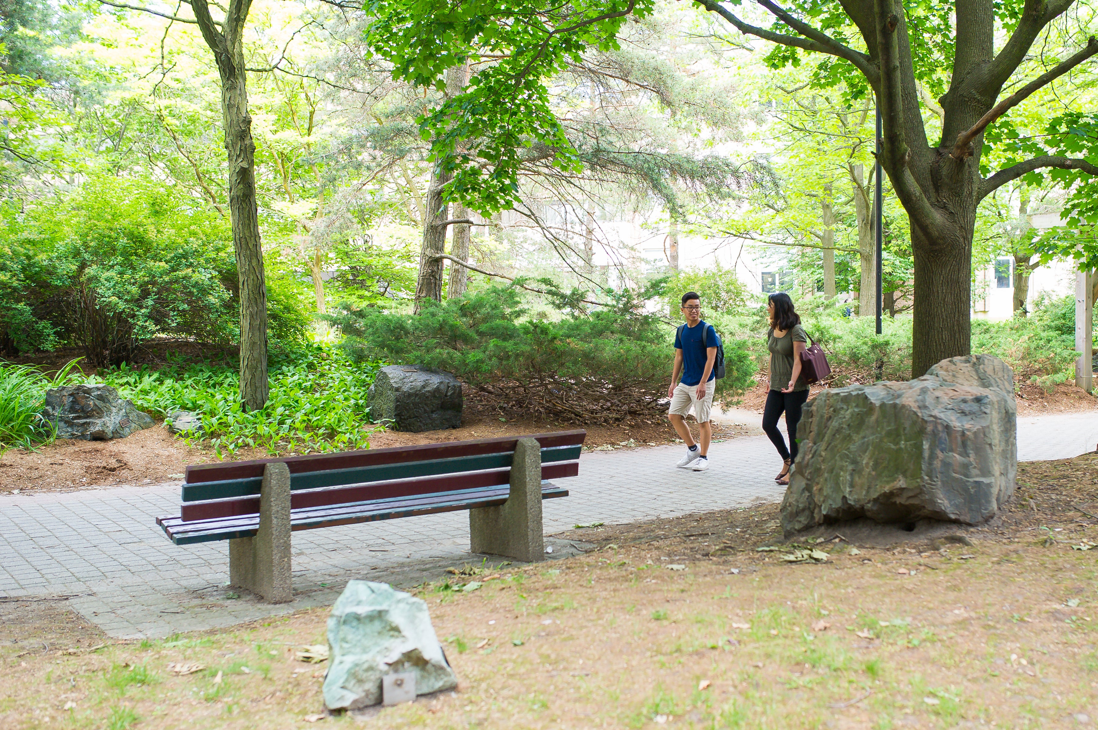 Students walking through rock garden