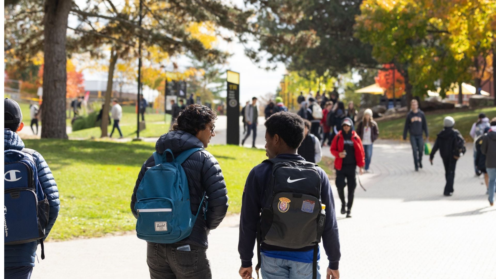 Students walk along a wide campus pathway lined with trees.
