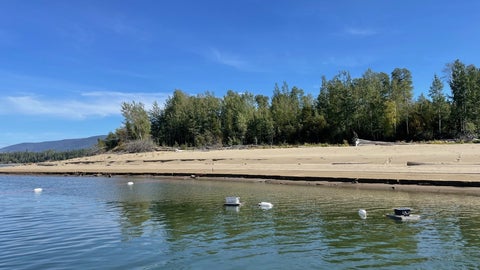 Automatic bubble traps deployed  in the littoral zone of a reservoir​
