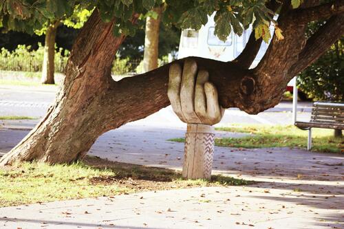 main en bois tenant un arbre