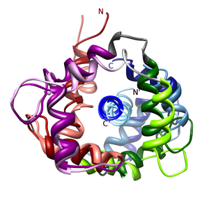 Structure of Calmodulin (CaM) Bound to Nitric Oxide Synthase Peptides