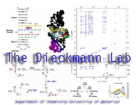 The Dieckmann Lab title picture