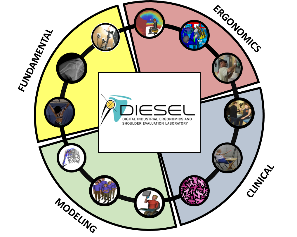 A circle is divided into four equal parts, each quarter representing one area of research for the DIESEL lab: fundamental, ergonomics, clinical and modeling.