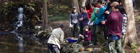 A group of Earth students stand on the edge of the water.