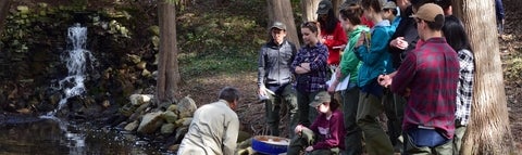 Students observe a professor in the field on a field trip to Lake Marie.