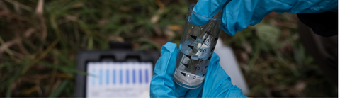 Hands in blue gloves with test tube. 