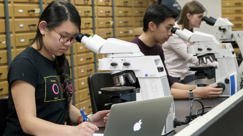Students at microscopes in a lab.