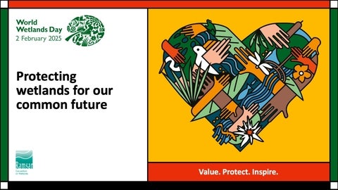 World Wetlands Day poster 2025: Protecting wetlands for our common future. Graphic of hands, wetland plants and animals weaved together in a heart.