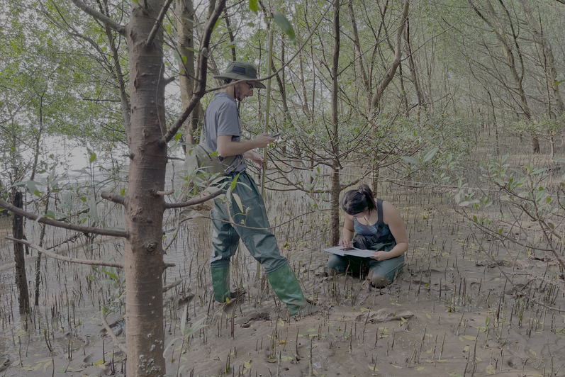 Students sampling in a river. 