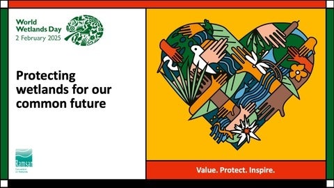 World Wetlands Day poster 2025: Protecting wetlands for our common future. Graphic of hands, wetland plants and animals weaved together in a heart.