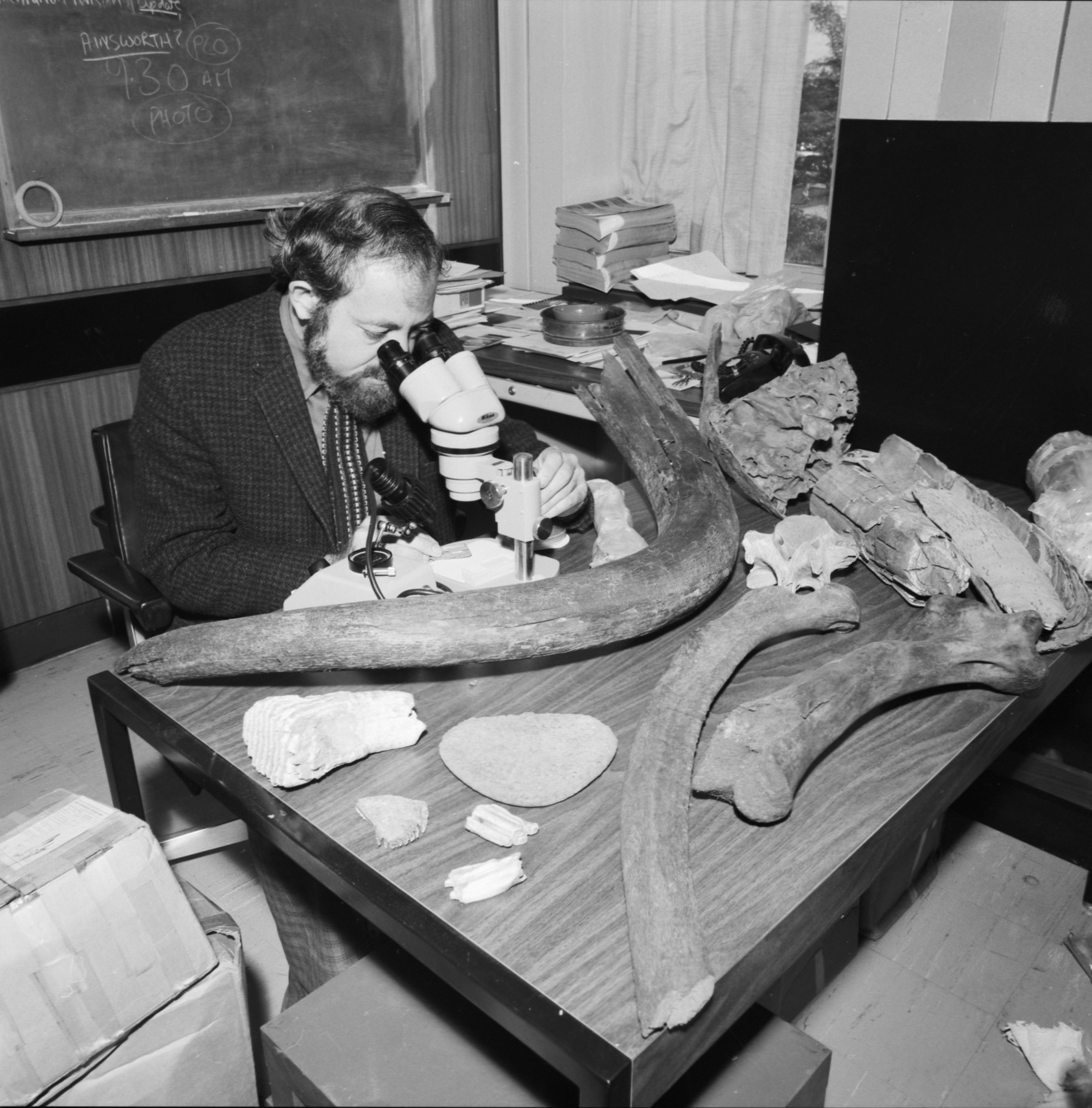 A man studies mammoth tusks under a microscope. 