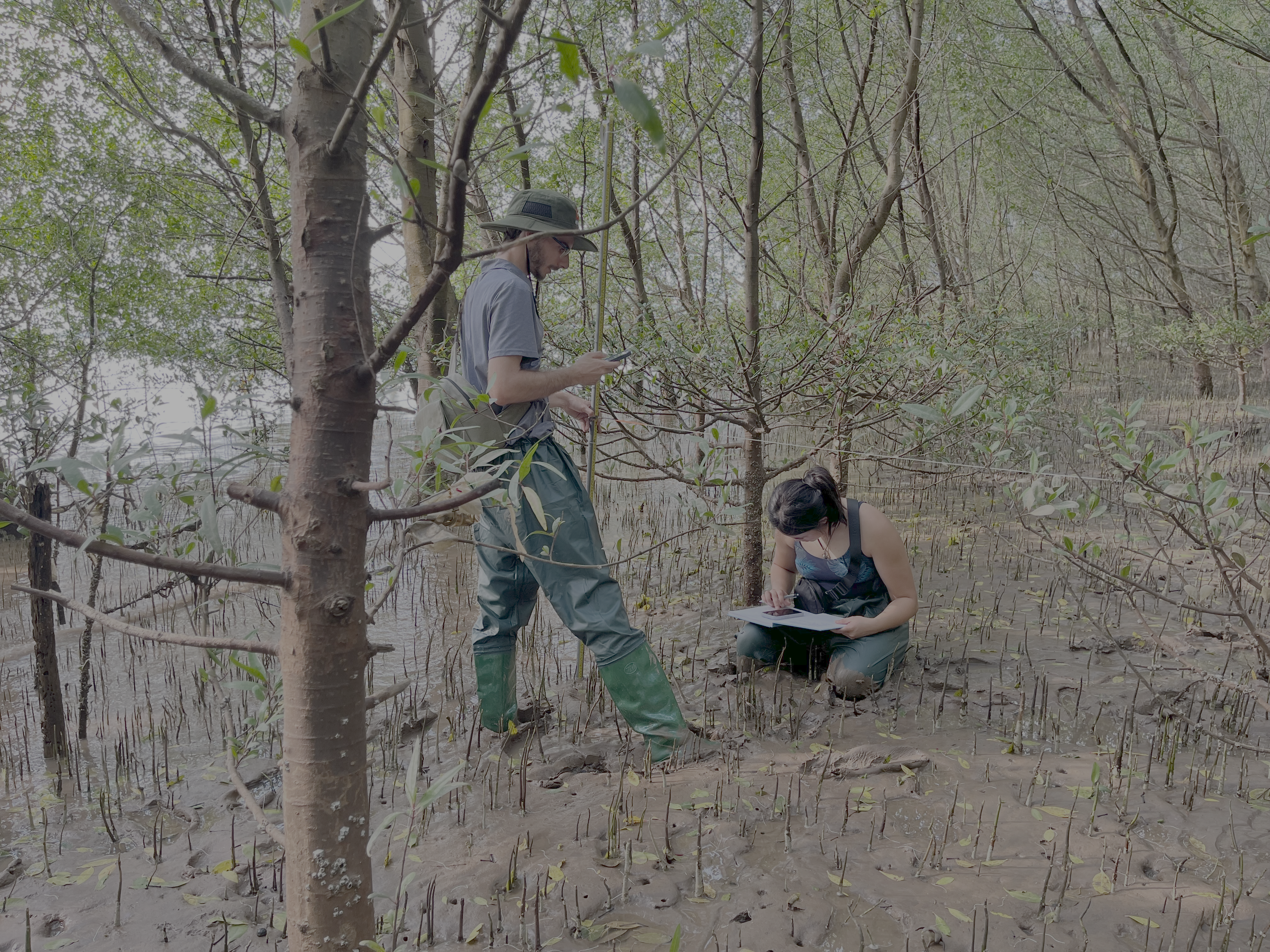 Students sampling in a river. 